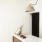 54309-1a_l