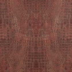 Обои BN Curious BN 17957