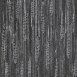 Обои BN Curious BN 17968