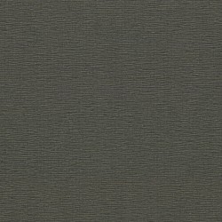 Обои Артекс Dieter Langer III Fusion DL10442-10