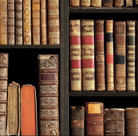 Обои SH&D Natural 88418-1