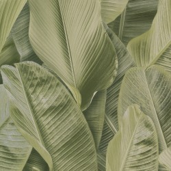 Обои Limonta Lymphae 17803